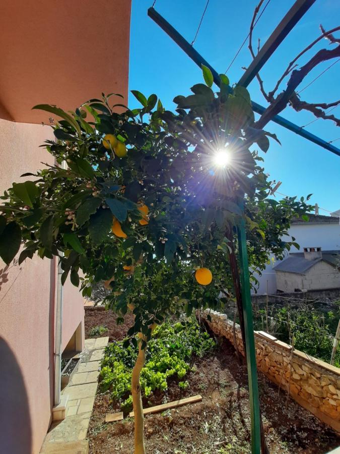 טרוגיר Apartments Ljulj מראה חיצוני תמונה