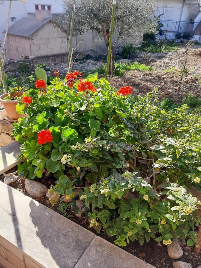 טרוגיר Apartments Ljulj מראה חיצוני תמונה